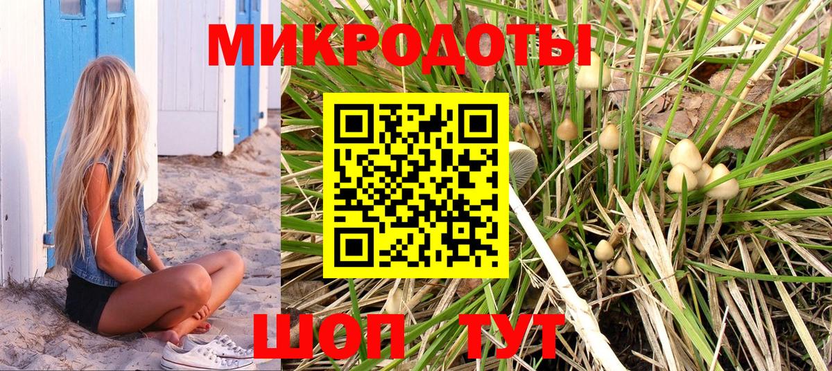 Псилоцибиновые грибы GOLDEN TEACHER Узловая